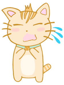 にゃんこ（アセ）